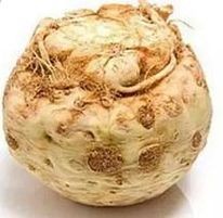 Ekologiczny seler korzenowy kg